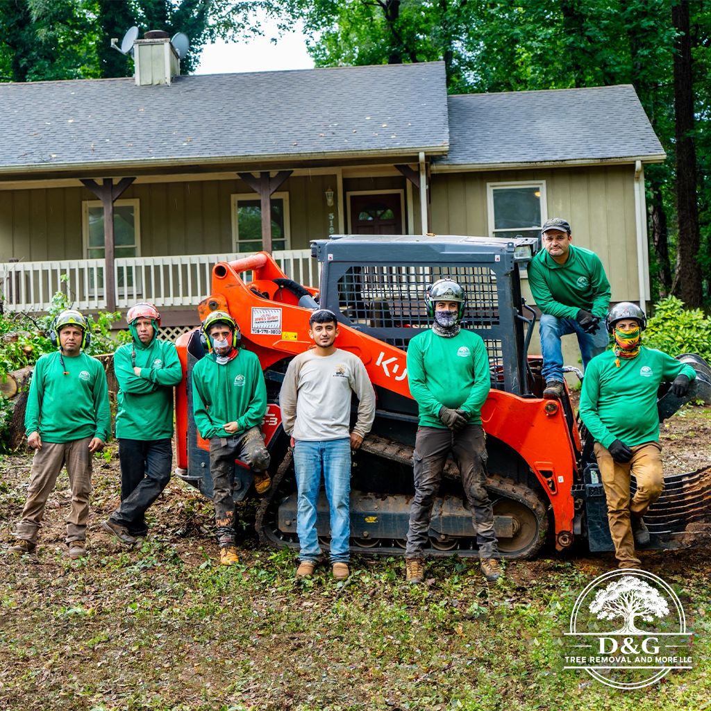 D&G Tree Removal & More LLC