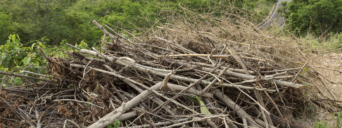 Debris and brush removal Buford GA