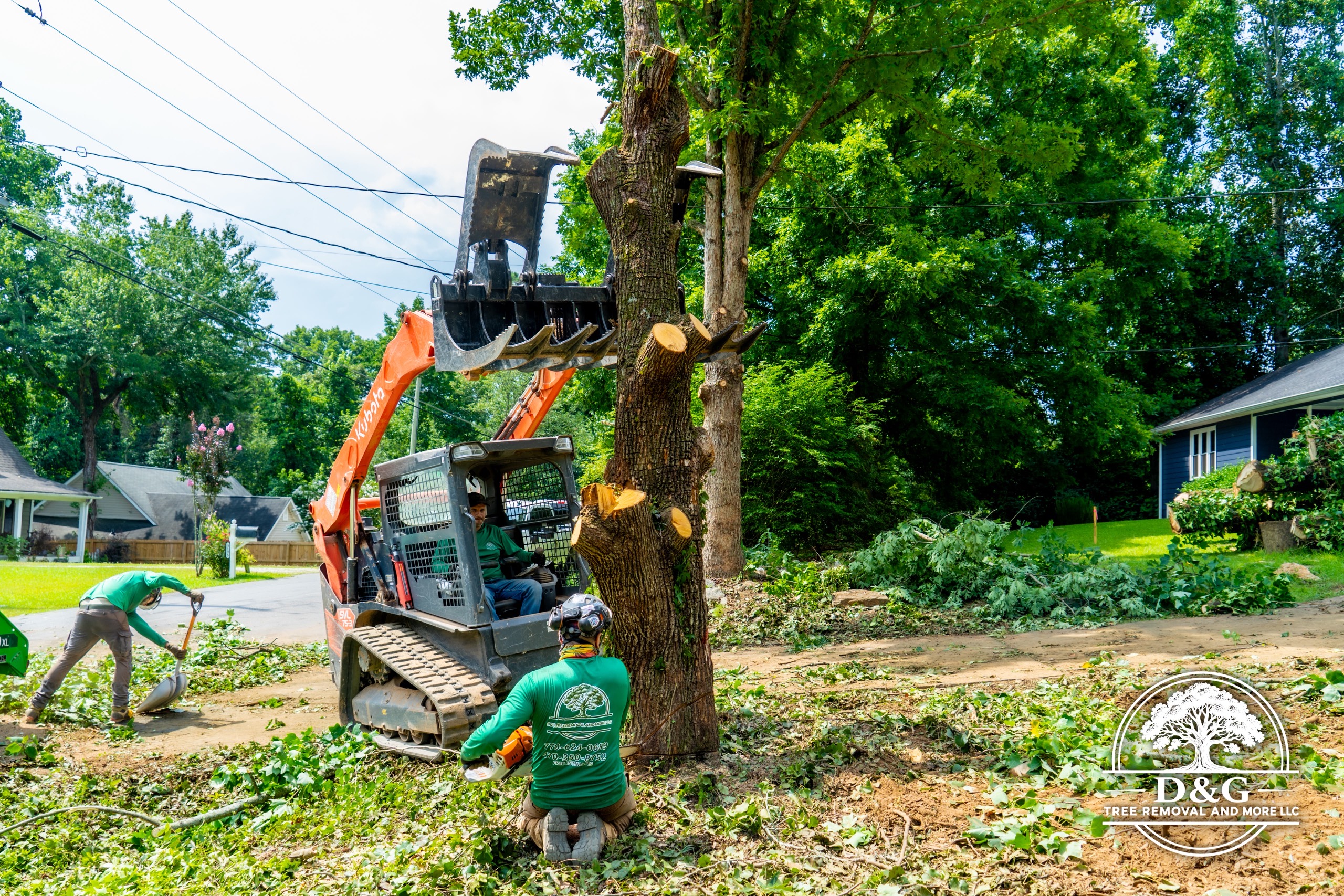 Shrub and bush removal Buford GA