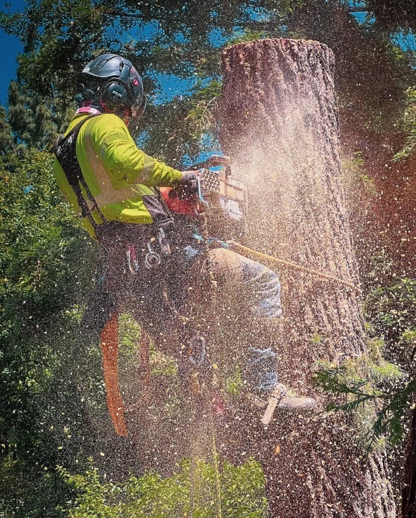 ✅ Fully insured • ✅ Same-day options • ✅ Emergency service available