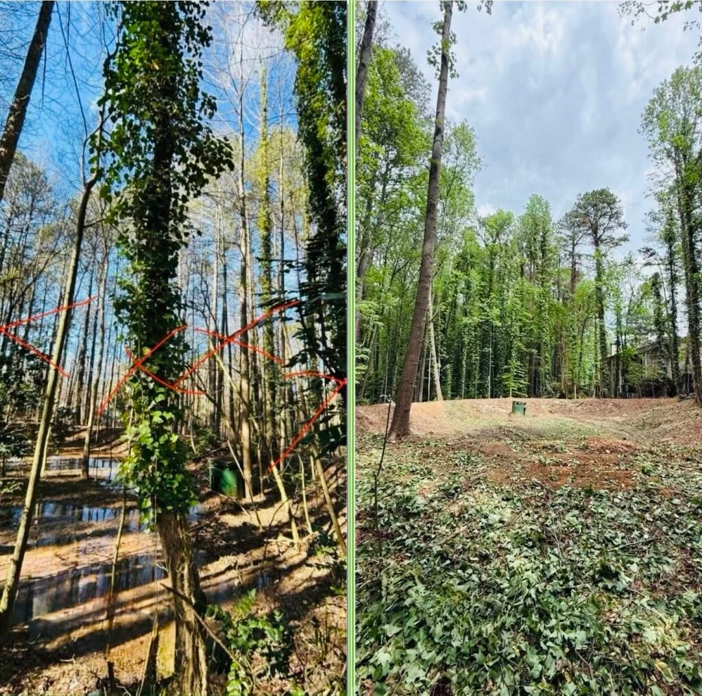 Tree Service in Sugar Hill, 5